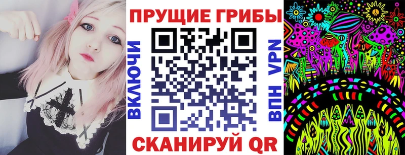 Галлюциногенные грибы Psilocybine cubensis  Чадан 